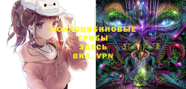 тгк Горняк