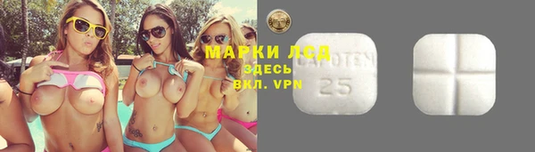 тгк Горняк